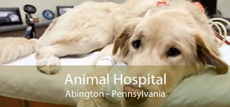Animal Hospital Abington - Pennsylvania