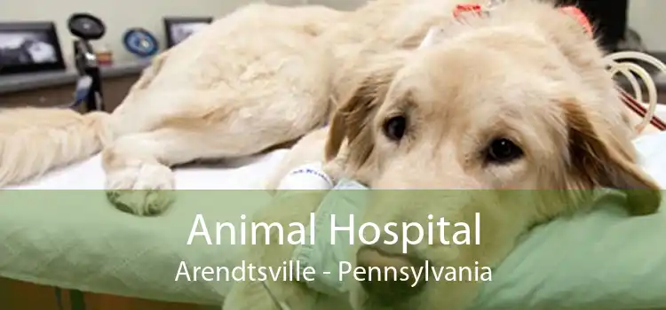 Animal Hospital Arendtsville - Pennsylvania