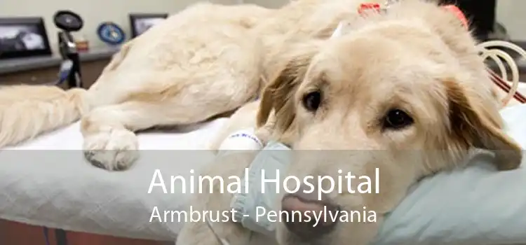 Animal Hospital Armbrust - Pennsylvania