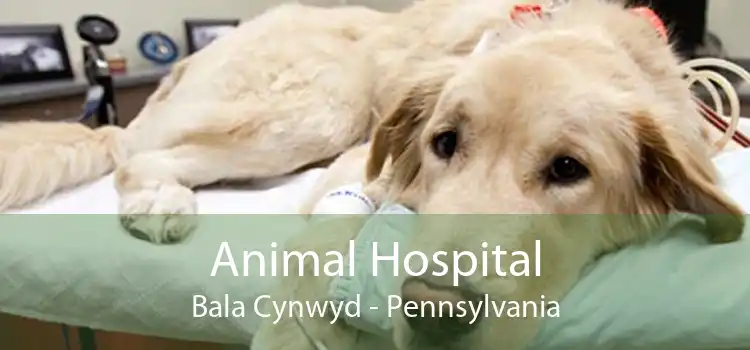 Animal Hospital Bala Cynwyd - Pennsylvania