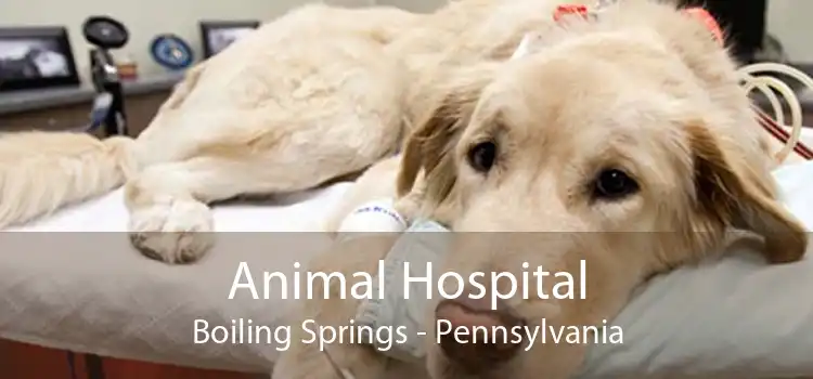 Animal Hospital Boiling Springs - Pennsylvania