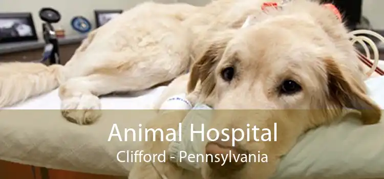 Animal Hospital Clifford - Pennsylvania