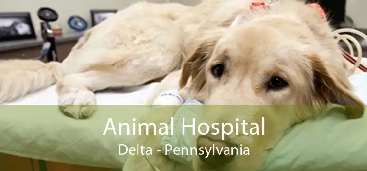 Animal Hospital Delta - Pennsylvania