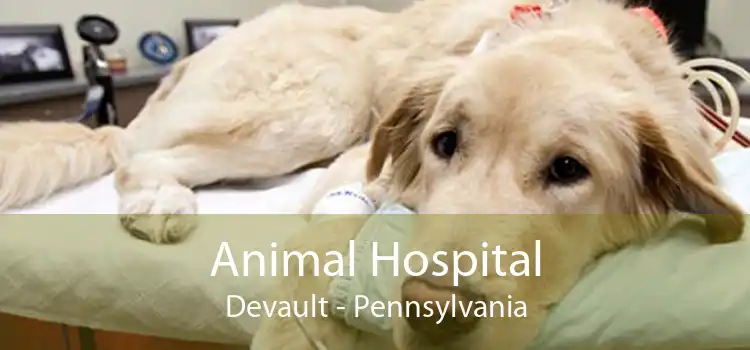 Animal Hospital Devault - Pennsylvania