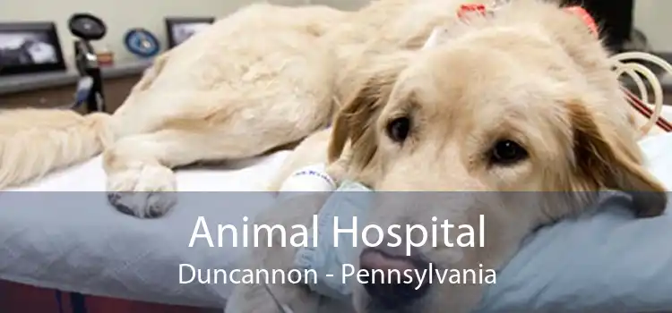 Animal Hospital Duncannon - Pennsylvania