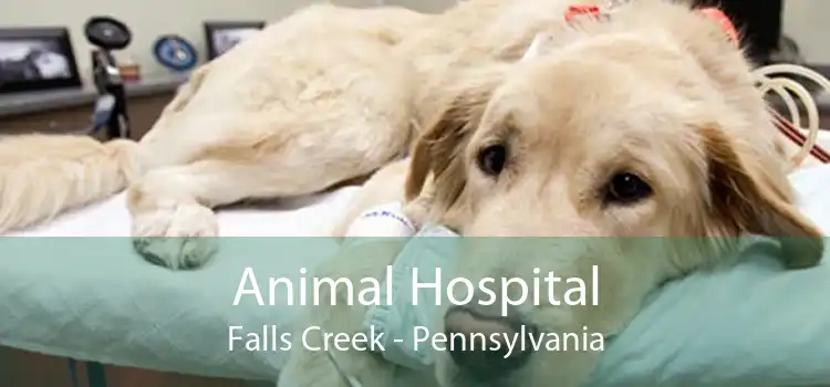 Animal Hospital Falls Creek - Pennsylvania
