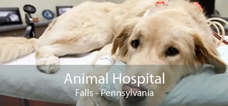 Animal Hospital Falls - Pennsylvania