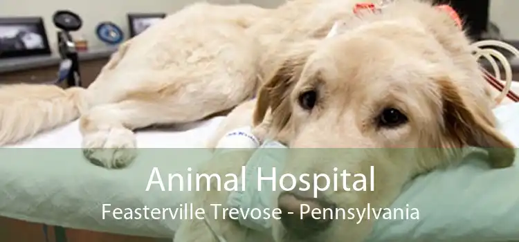 Animal Hospital Feasterville Trevose - Pennsylvania
