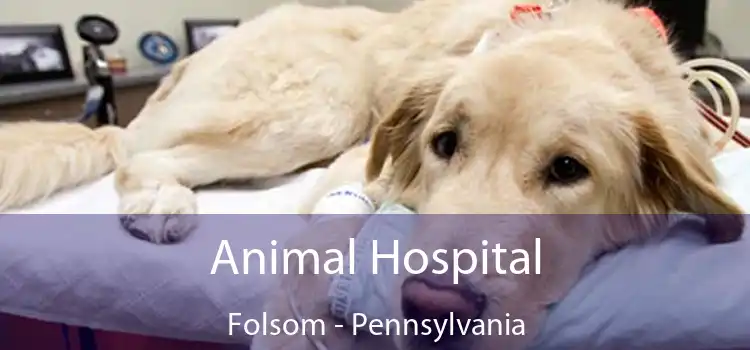 Animal Hospital Folsom - Pennsylvania