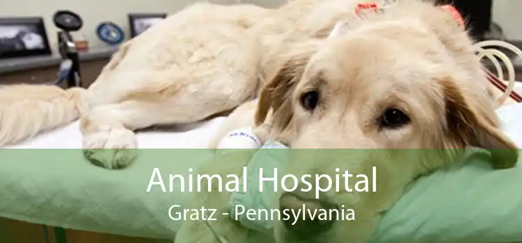 Animal Hospital Gratz - Pennsylvania