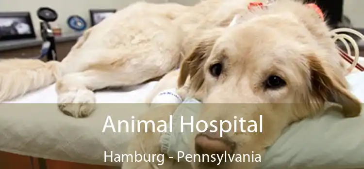 Animal Hospital Hamburg - Pennsylvania