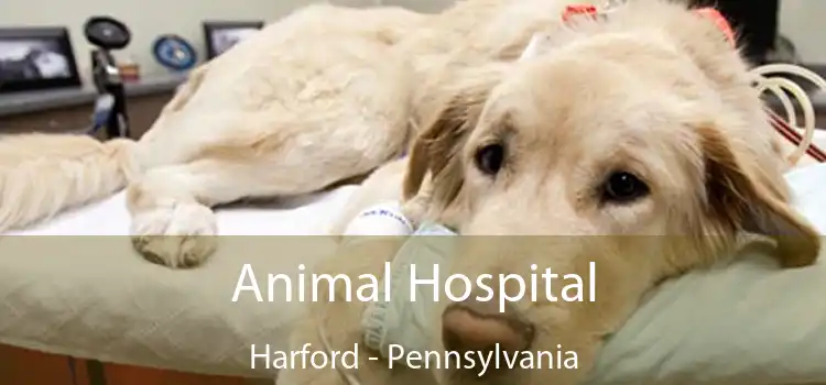 Animal Hospital Harford - Pennsylvania