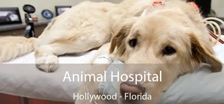 Animal Hospital Hollywood - Florida