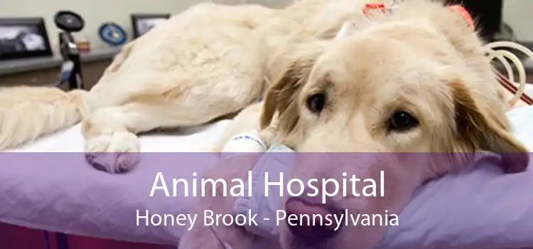 Animal Hospital Honey Brook - Pennsylvania
