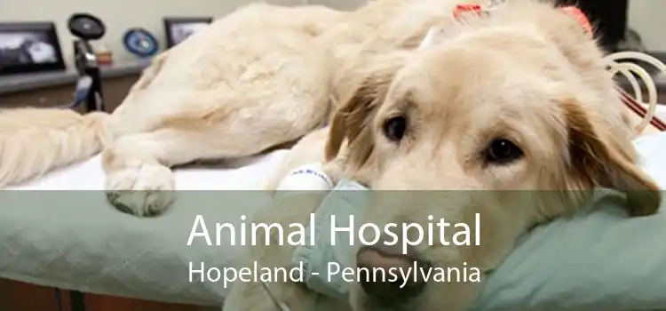 Animal Hospital Hopeland - Pennsylvania