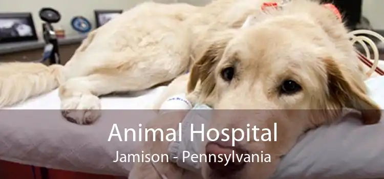 Animal Hospital Jamison - Pennsylvania