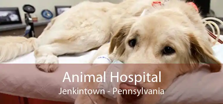 Animal Hospital Jenkintown - Pennsylvania
