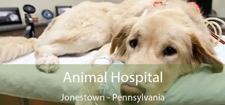 Animal Hospital Jonestown - Pennsylvania