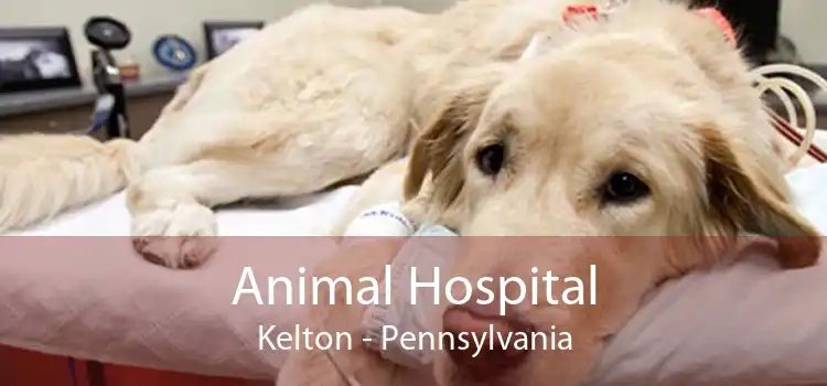Animal Hospital Kelton - Pennsylvania