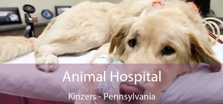 Animal Hospital Kinzers - Pennsylvania