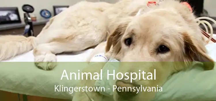 Animal Hospital Klingerstown - Pennsylvania