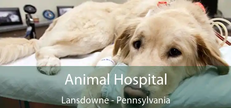 Animal Hospital Lansdowne - Pennsylvania