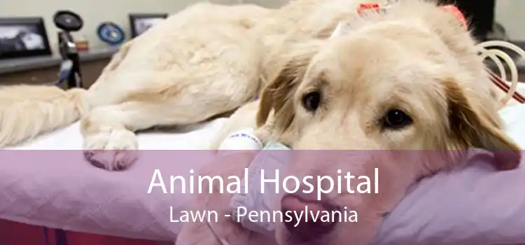 Animal Hospital Lawn - Pennsylvania
