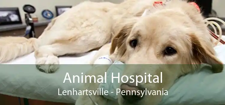 Animal Hospital Lenhartsville - Pennsylvania