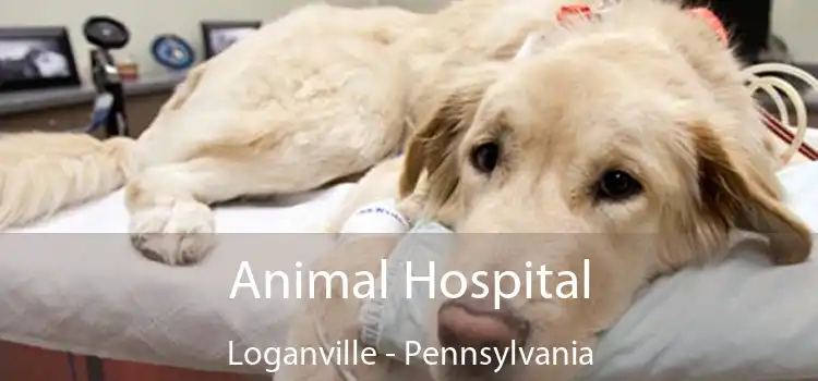 Animal Hospital Loganville - Pennsylvania