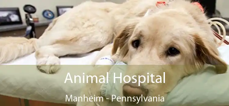 Animal Hospital Manheim - Pennsylvania