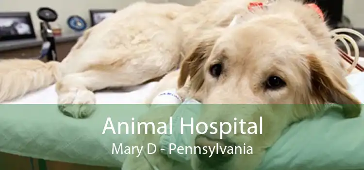 Animal Hospital Mary D - Pennsylvania