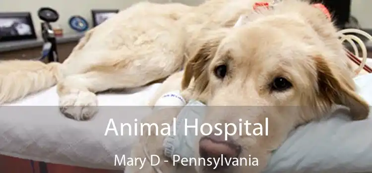 Animal Hospital Mary D - Pennsylvania