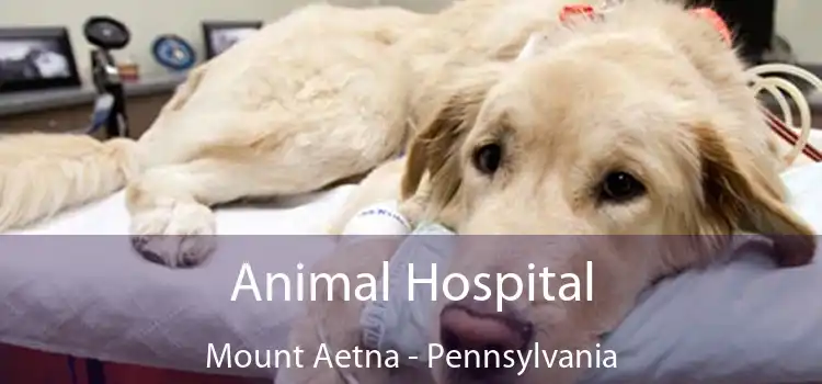 Animal Hospital Mount Aetna - Pennsylvania