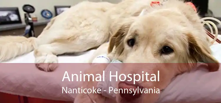 Animal Hospital Nanticoke - Pennsylvania