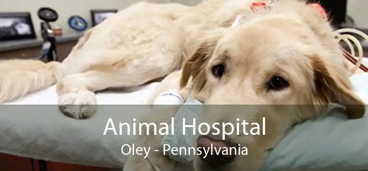 Animal Hospital Oley - Pennsylvania