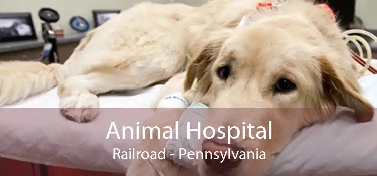 Animal Hospital Railroad - Pennsylvania