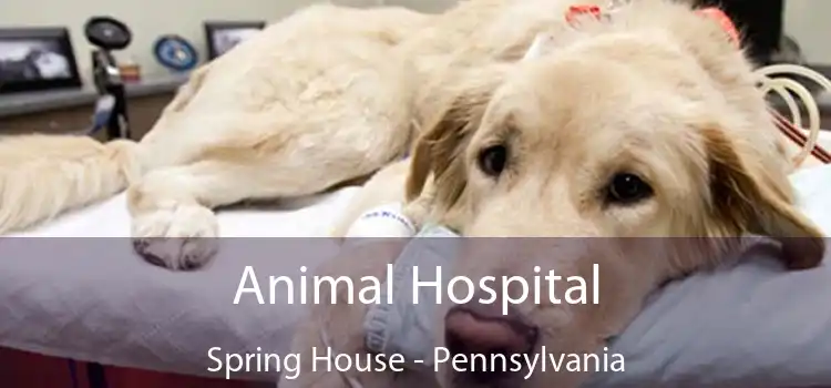 Animal Hospital Spring House - Pennsylvania