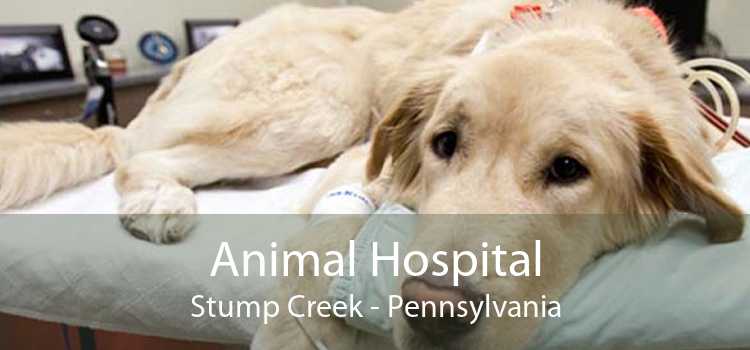 Animal Hospital Stump Creek - Pennsylvania