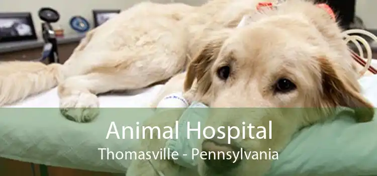 Animal Hospital Thomasville - Pennsylvania