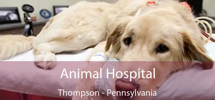 Animal Hospital Thompson - Pennsylvania