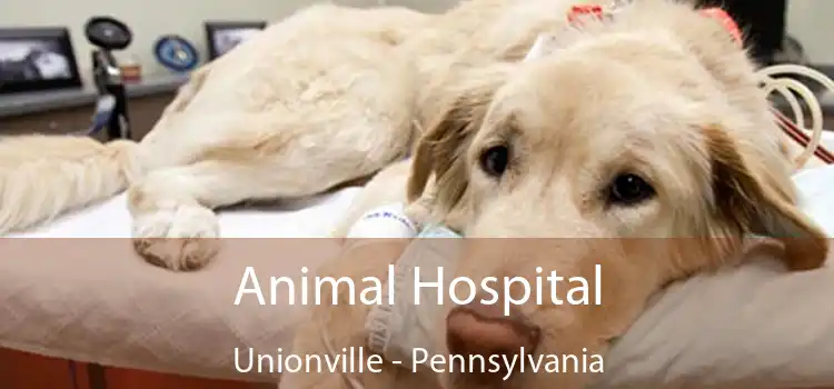 Animal Hospital Unionville - Pennsylvania