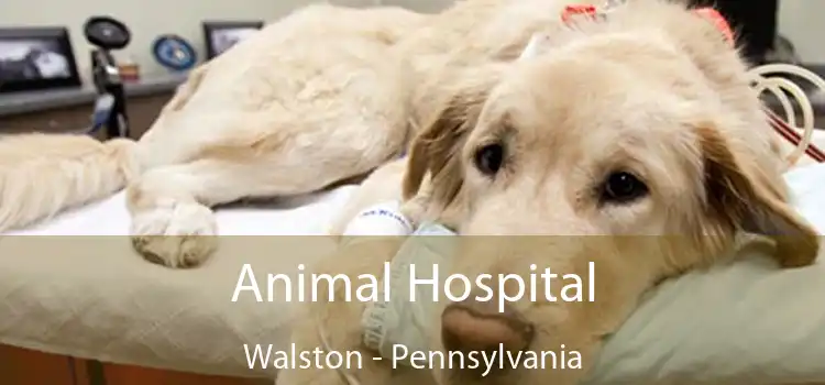 Animal Hospital Walston - Pennsylvania