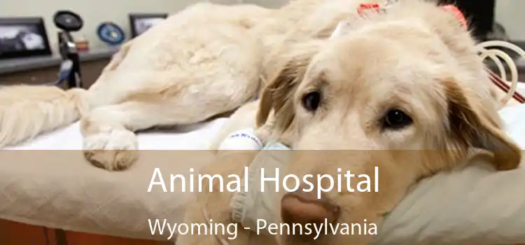 Animal Hospital Wyoming - Pennsylvania