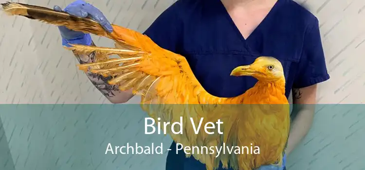 Bird Vet Archbald - Pennsylvania