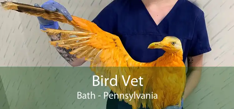 Bird Vet Bath - Pennsylvania