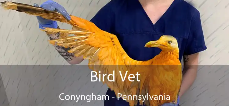 Bird Vet Conyngham - Pennsylvania