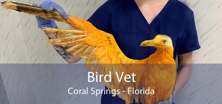 Bird Vet Coral Springs - Florida