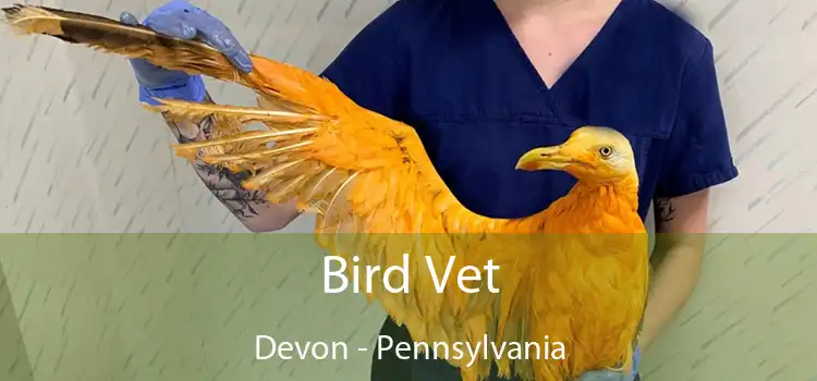 Bird Vet Devon - Pennsylvania