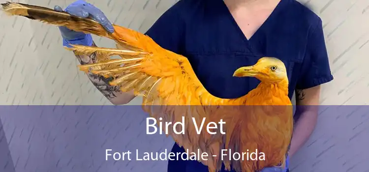 Bird Vet Fort Lauderdale - Florida