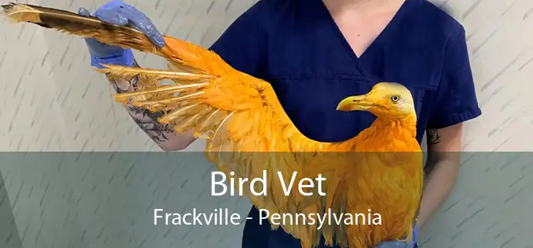 Bird Vet Frackville - Pennsylvania